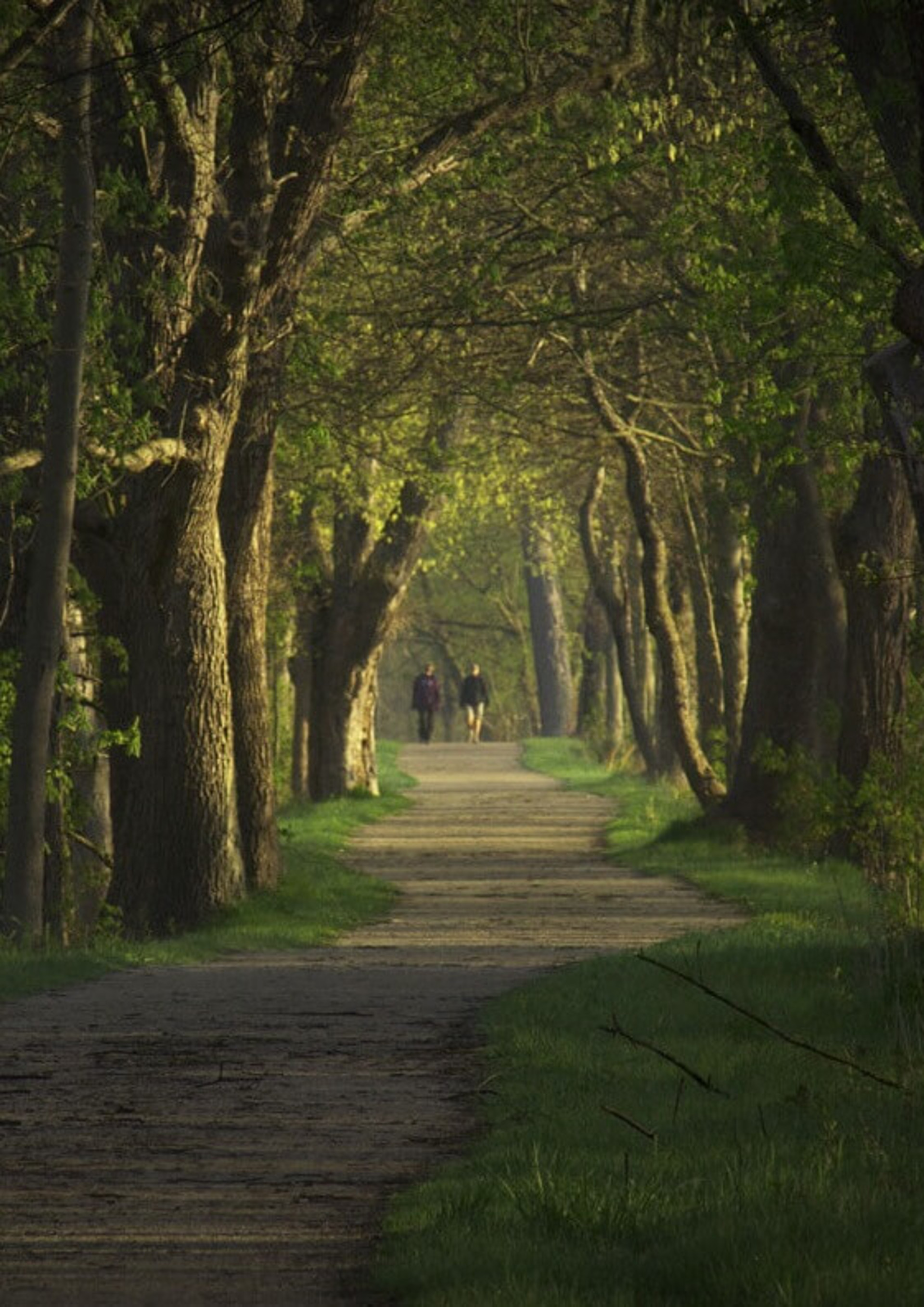 walkers.jpg walkers.jpg