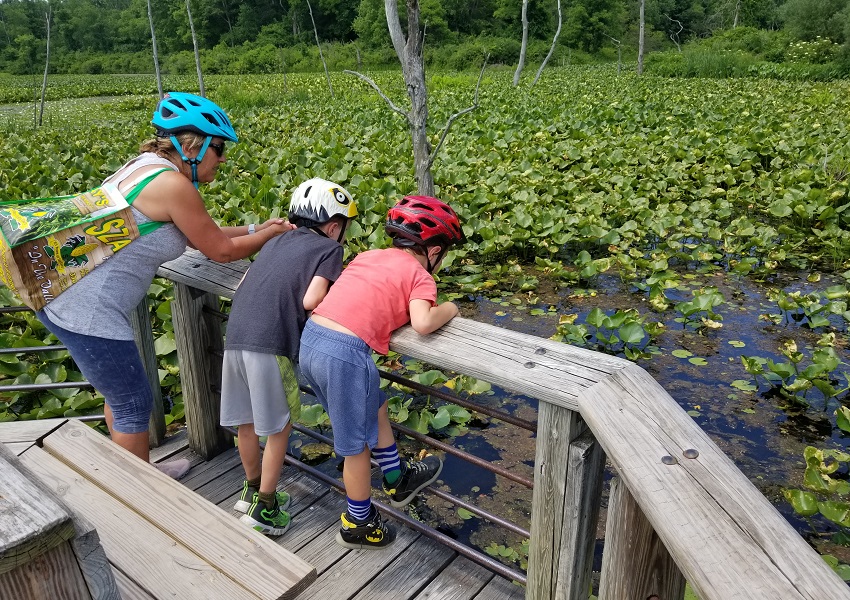 Beaver Marsh is one of the most ecologically diverse locations along the Towpath Trail. Here, Quinton and Miles are not only learning about the history of the Canalway, but the other critters that call the Cuyahoga Valley National Park home. Photo by Heather Englander.