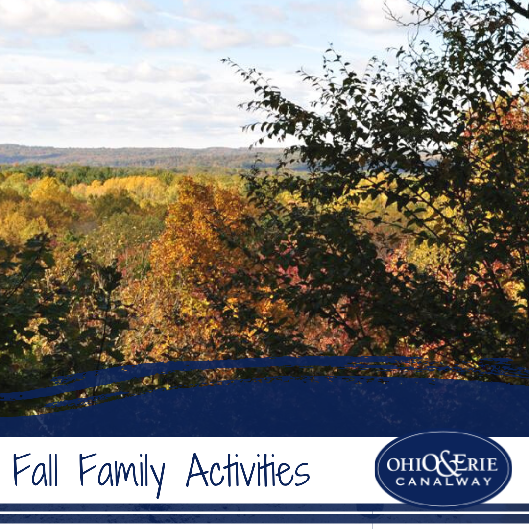 Fall Family Activities